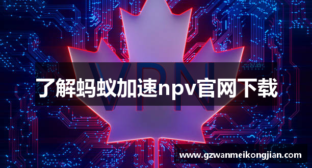 蚂蚁加速器【官网入口】｜蚂蚁加速器